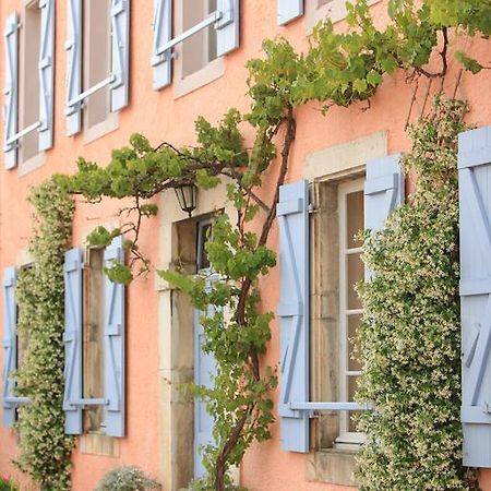 La Maison D'Anais Vic-en-Bigorre Zewnętrze zdjęcie