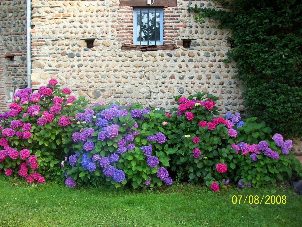 La Maison D'Anais Vic-en-Bigorre Zewnętrze zdjęcie